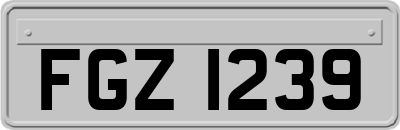 FGZ1239