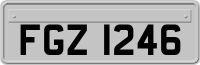 FGZ1246