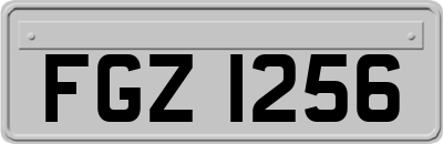 FGZ1256