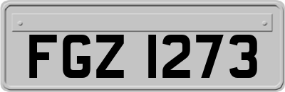 FGZ1273