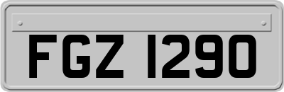 FGZ1290