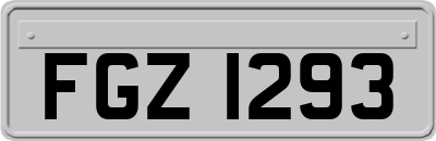 FGZ1293