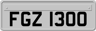 FGZ1300