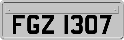 FGZ1307