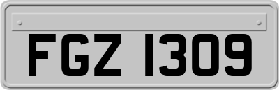 FGZ1309