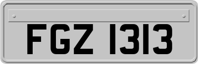 FGZ1313