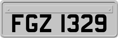 FGZ1329