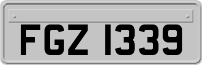 FGZ1339