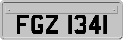 FGZ1341
