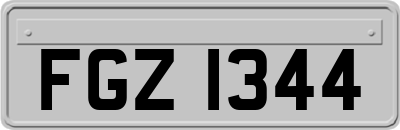 FGZ1344