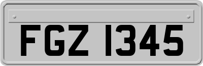 FGZ1345
