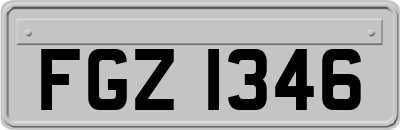 FGZ1346