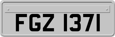 FGZ1371