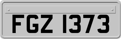FGZ1373