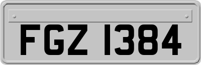 FGZ1384