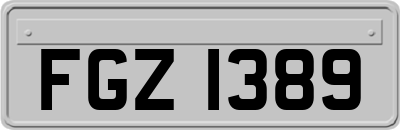 FGZ1389