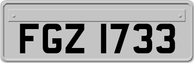 FGZ1733