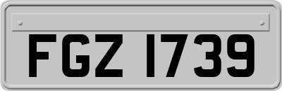 FGZ1739