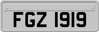 FGZ1919
