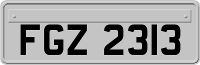 FGZ2313