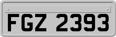 FGZ2393
