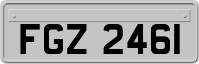 FGZ2461