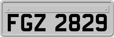 FGZ2829