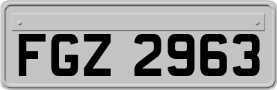 FGZ2963