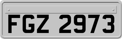FGZ2973