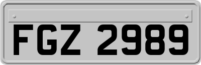 FGZ2989
