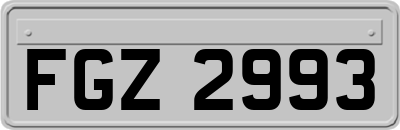 FGZ2993