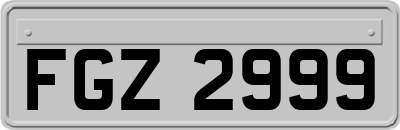 FGZ2999