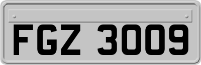 FGZ3009