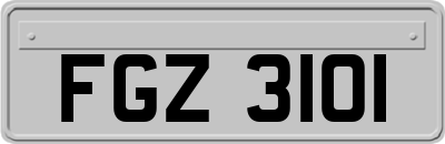 FGZ3101