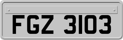 FGZ3103