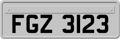 FGZ3123