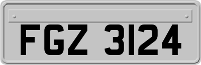 FGZ3124