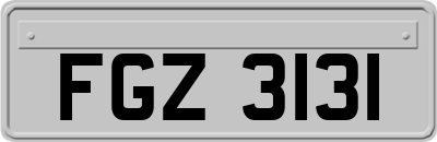 FGZ3131