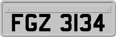 FGZ3134