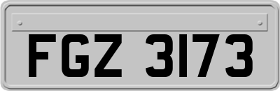 FGZ3173