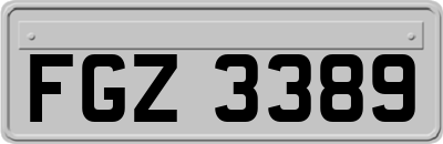 FGZ3389