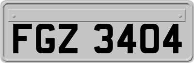FGZ3404