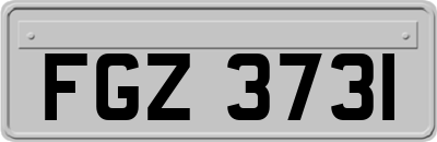 FGZ3731