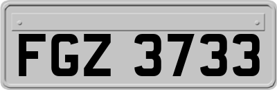 FGZ3733