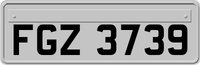 FGZ3739
