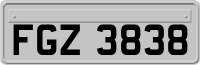 FGZ3838