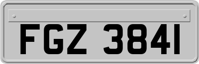FGZ3841