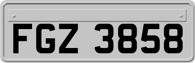 FGZ3858