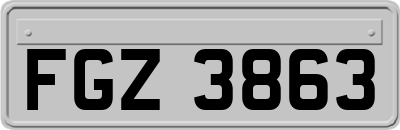 FGZ3863