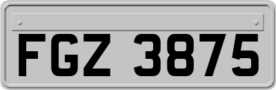 FGZ3875